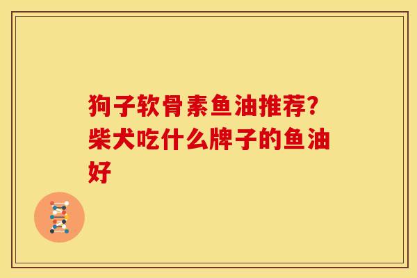 狗子软骨素鱼油推荐？柴犬吃什么牌子的鱼油好
