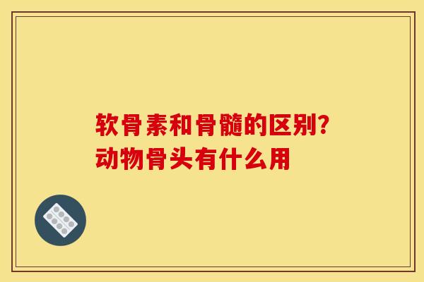 软骨素和骨髓的区别？动物骨头有什么用