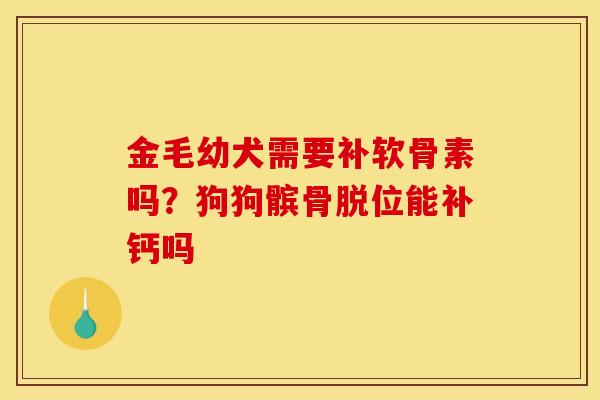 金毛幼犬需要补软骨素吗?狗狗髌骨脱位能补钙吗 金毛幼犬需要补软骨素吗?狗狗髌骨脱位能补钙吗
