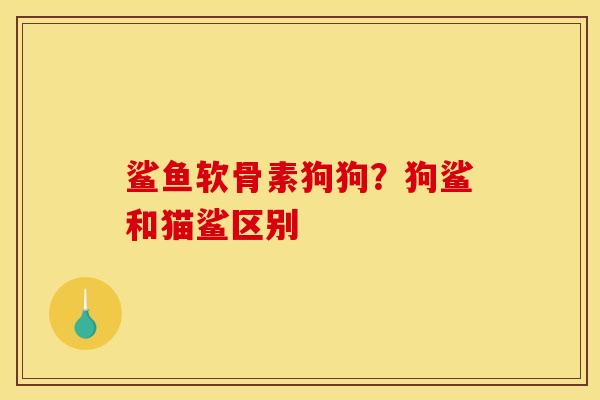 鲨鱼软骨素狗狗？狗鲨和猫鲨区别