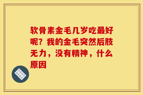 软骨素金毛几岁吃最好呢？我的金毛突然后肢无力，没有精神，什么原因