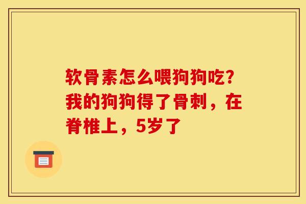 软骨素怎么喂狗狗吃？我的狗狗得了骨刺，在脊椎上，5岁了
