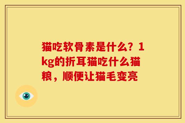 猫吃软骨素是什么？1kg的折耳猫吃什么猫粮，顺便让猫毛变亮