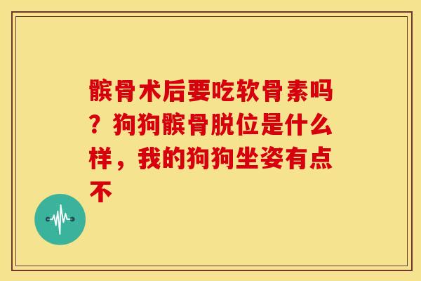 髌骨术后要吃软骨素吗？狗狗髌骨脱位是什么样，我的狗狗坐姿有点不
