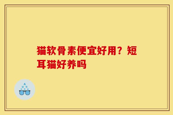 猫软骨素便宜好用？短耳猫好养吗