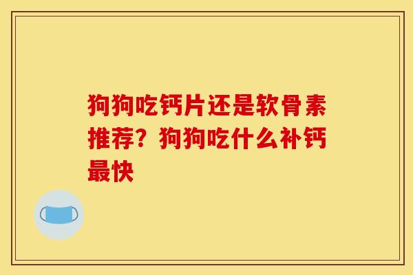 狗狗吃钙片还是软骨素推荐？狗狗吃什么补钙最快