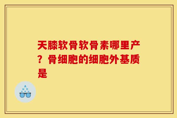 天膝软骨软骨素哪里产？骨细胞的细胞外基质是