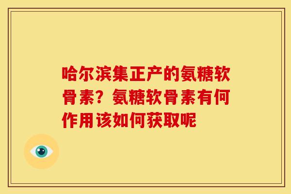 哈尔滨集正产的氨糖软骨素？氨糖软骨素有何作用该如何获取呢