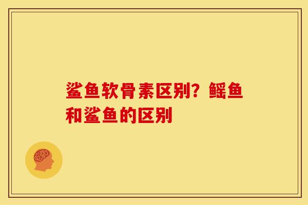 鲨鱼软骨素区别？鳐鱼和鲨鱼的区别