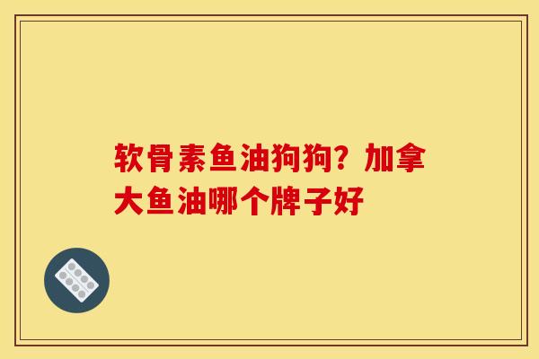 软骨素鱼油狗狗?加拿大鱼油哪个牌子好 软骨素鱼油狗狗?加拿大鱼油哪个牌子好