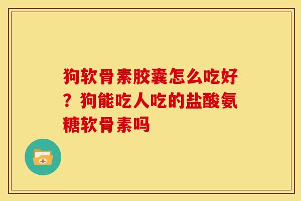狗软骨素胶囊怎么吃好？狗能吃人吃的盐酸氨糖软骨素吗