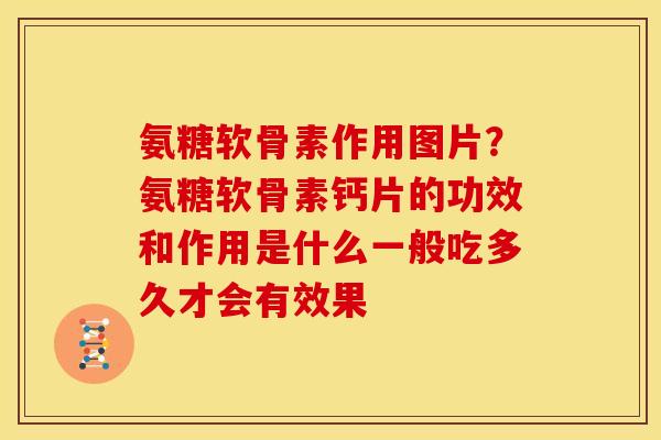 氨糖软骨素作用图片？氨糖软骨素钙片的功效和作用是什么一般吃多久才会有效果
