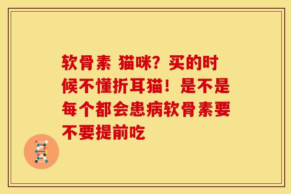 软骨素 猫咪？买的时候不懂折耳猫！是不是每个都会患病软骨素要不要提前吃