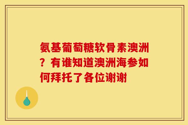 氨基葡萄糖软骨素澳洲？有谁知道澳洲海参如何拜托了各位谢谢