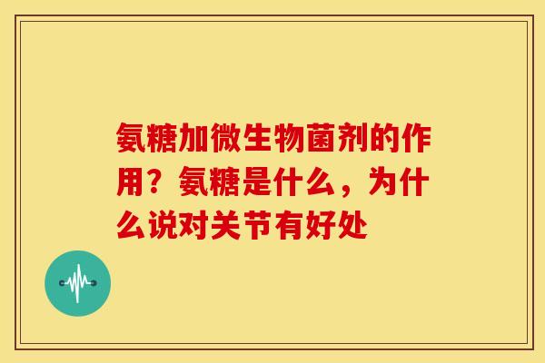 氨糖加微生物菌剂的作用？氨糖是什么，为什么说对关节有好处