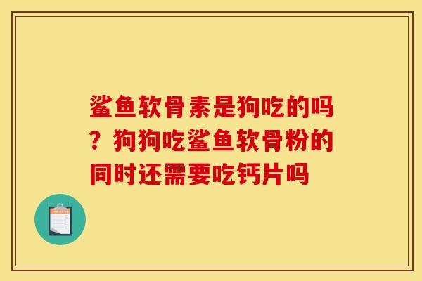 鲨鱼软骨素是狗吃的吗？狗狗吃鲨鱼软骨粉的同时还需要吃钙片吗