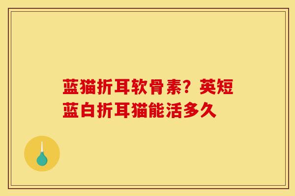 蓝猫折耳软骨素？英短蓝白折耳猫能活多久