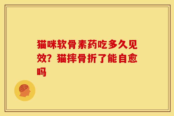 猫咪软骨素药吃多久见效？猫摔骨折了能自愈吗