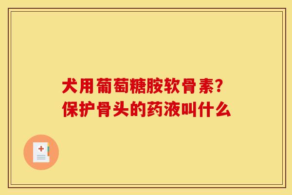 犬用葡萄糖胺软骨素？保护骨头的药液叫什么
