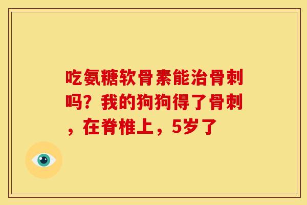 吃氨糖软骨素能治骨刺吗？我的狗狗得了骨刺，在脊椎上，5岁了