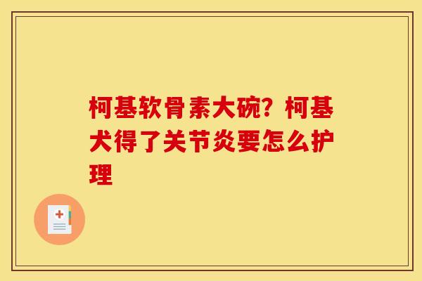 柯基软骨素大碗？柯基犬得了关节炎要怎么护理