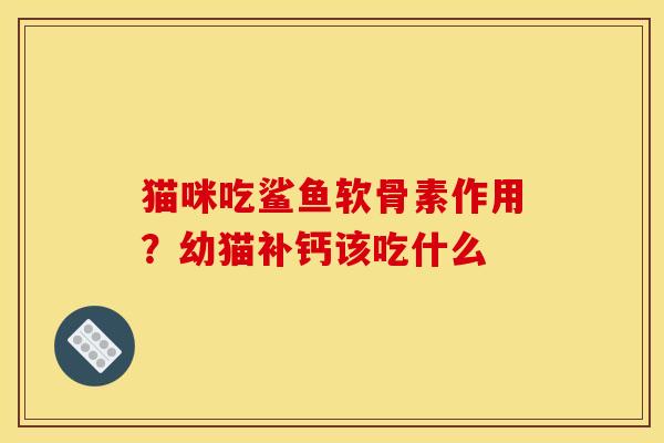 猫咪吃鲨鱼软骨素作用？幼猫补钙该吃什么