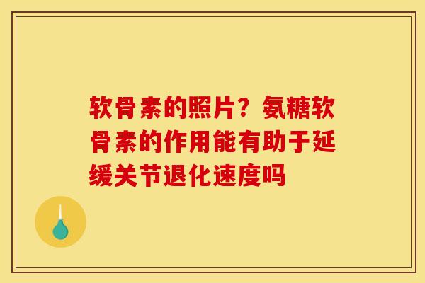 软骨素的照片？氨糖软骨素的作用能有助于延缓关节退化速度吗