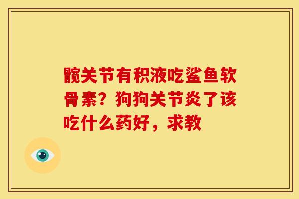 髋关节有积液吃鲨鱼软骨素？狗狗关节炎了该吃什么药好，求教