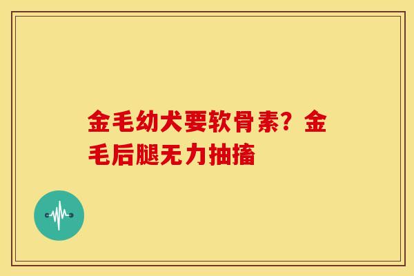 金毛幼犬要软骨素？金毛后腿无力抽搐