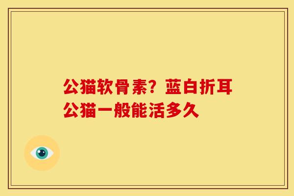 公猫软骨素？蓝白折耳公猫一般能活多久