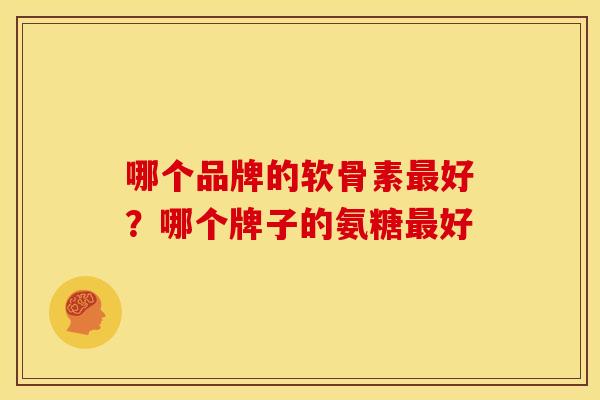 哪个品牌的软骨素好?哪个牌子的氨糖好 哪个品牌的软骨素好?哪个牌子的氨糖好