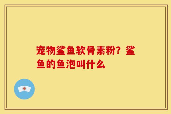 宠物鲨鱼软骨素粉？鲨鱼的鱼泡叫什么