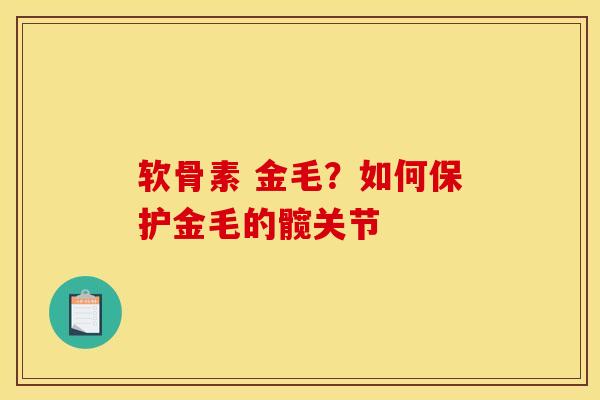 软骨素 金毛？如何保护金毛的髋关节