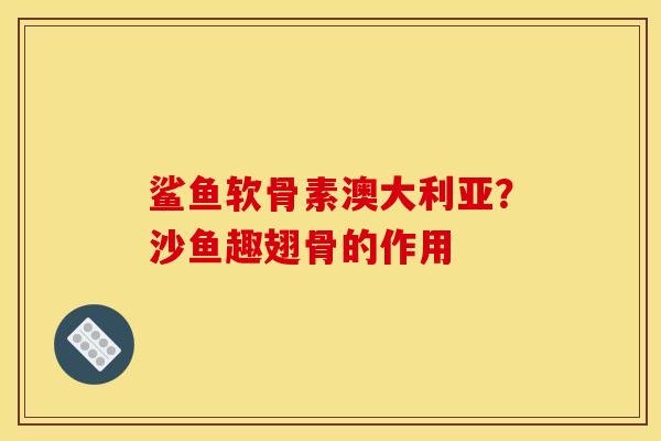 鲨鱼软骨素澳大利亚？沙鱼趣翅骨的作用