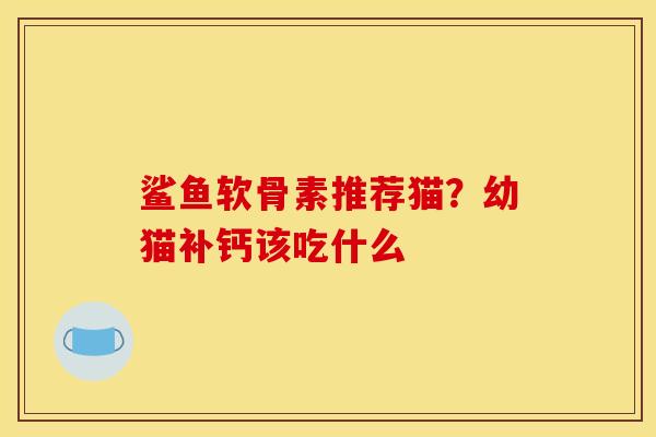 鲨鱼软骨素推荐猫？幼猫补钙该吃什么