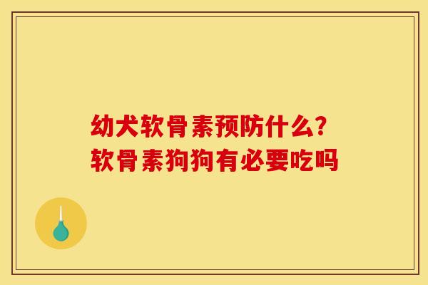 幼犬软骨素预防什么？软骨素狗狗有必要吃吗