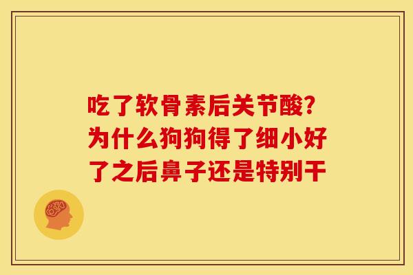 吃了软骨素后关节酸？为什么狗狗得了细小好了之后鼻子还是特别干