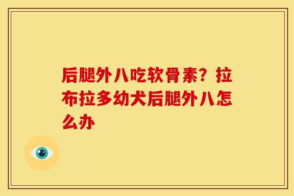 后腿外八吃软骨素？拉布拉多幼犬后腿外八怎么办