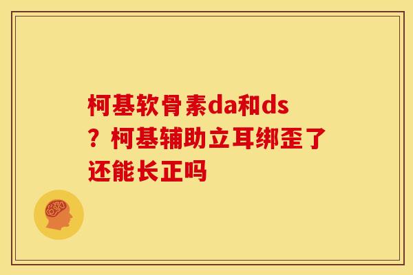 柯基软骨素da和ds？柯基辅助立耳绑歪了还能长正吗