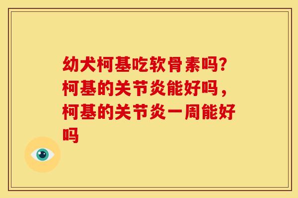 幼犬柯基吃软骨素吗？柯基的关节炎能好吗，柯基的关节炎一周能好吗