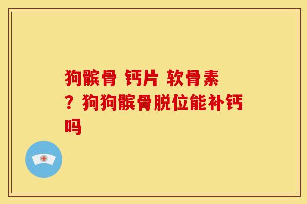 狗髌骨 钙片 软骨素？狗狗髌骨脱位能补钙吗