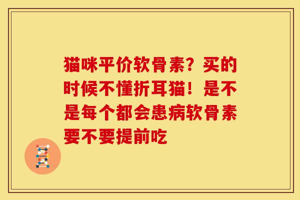 猫咪平价软骨素？买的时候不懂折耳猫！是不是每个都会患病软骨素要不要提前吃