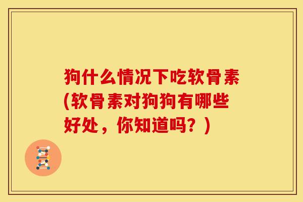 狗什么情况下吃软骨素(软骨素对狗狗有哪些好处，你知道吗？)