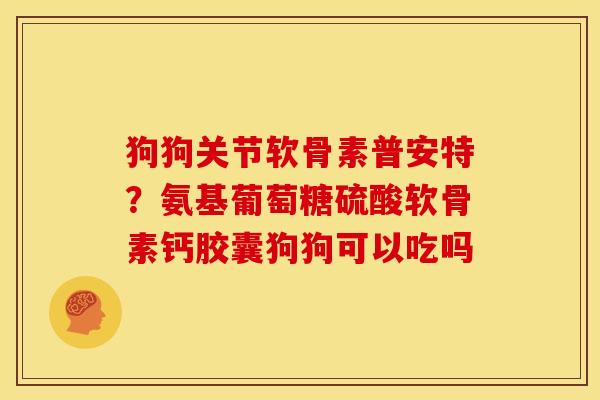 狗狗关节软骨素普安特？氨基葡萄糖硫酸软骨素钙胶囊狗狗可以吃吗