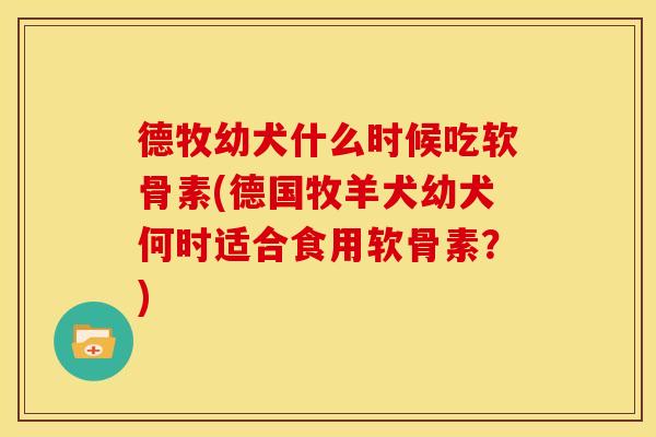 德牧幼犬什么时候吃软骨素(德国牧羊犬幼犬何时适合食用软骨素？)