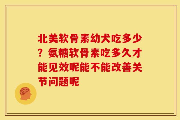 北美软骨素幼犬吃多少？氨糖软骨素吃多久才能见效呢能不能改善关节问题呢