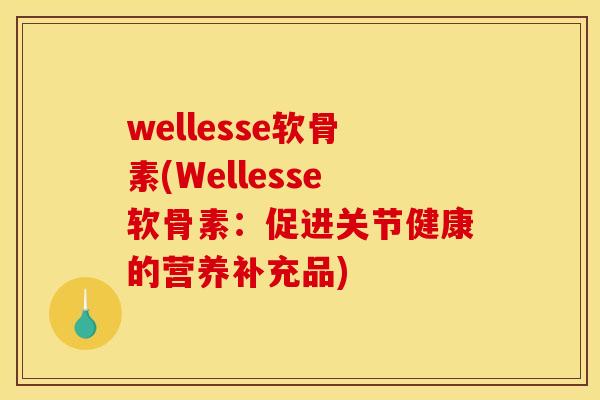 wellesse软骨素(Wellesse软骨素：促进关节健康的营养补充品)