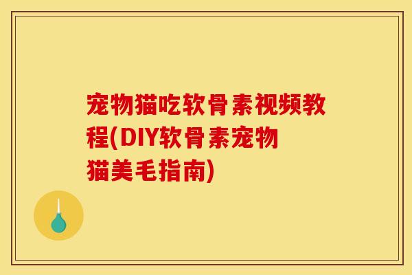 宠物猫吃软骨素视频教程(DIY软骨素宠物猫美毛指南)