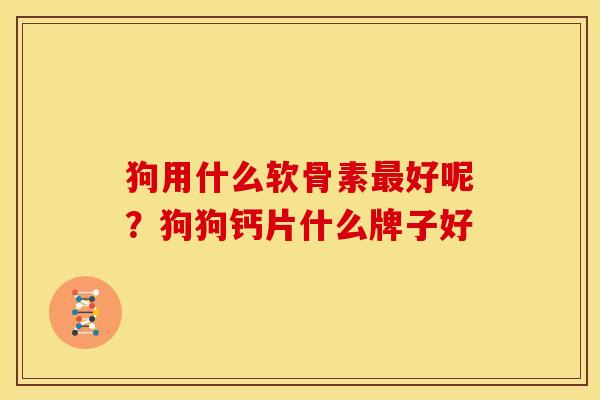 狗用什么软骨素最好呢？狗狗钙片什么牌子好