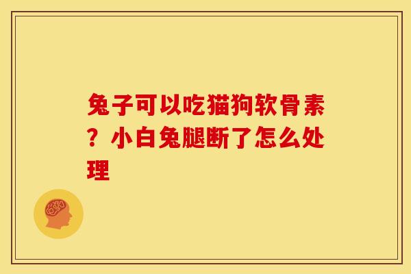 兔子可以吃猫狗软骨素?小白兔腿断了怎么处理 兔子可以吃猫狗软骨素?小白兔腿断了怎么处理